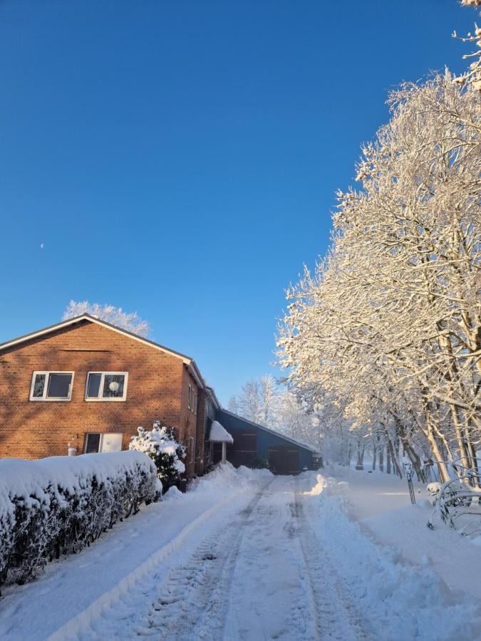 Ferienwohnung Sort Sol Grellsbülldeich 7 Aventoft Exterior foto